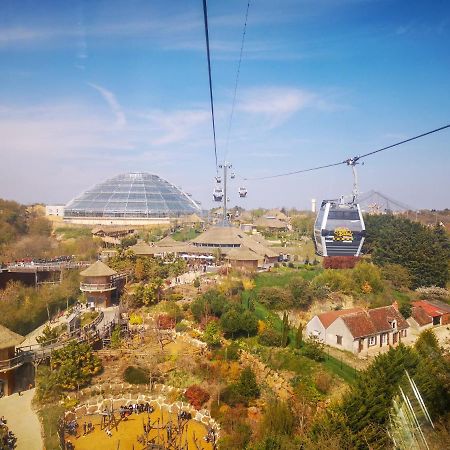 Le Chant Des Oiseaux, 3Km Du Zoo De Beauval, Parking Gratuit ,Wifi Et Netflix Gratuits 圣艾尼昂 外观 照片
